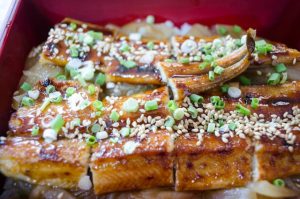Grilled unagi is a tasty treat in Japanese cuisine